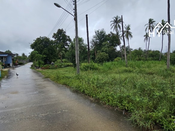 #1618  3rai Huay Yai. Quiet position off Soi Polo