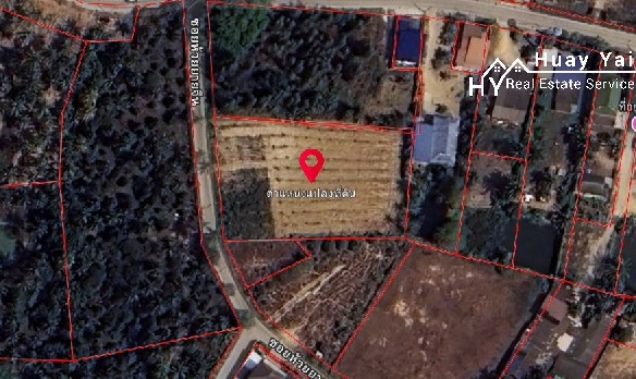 #1631 Good shaped Land Plot For Sale.