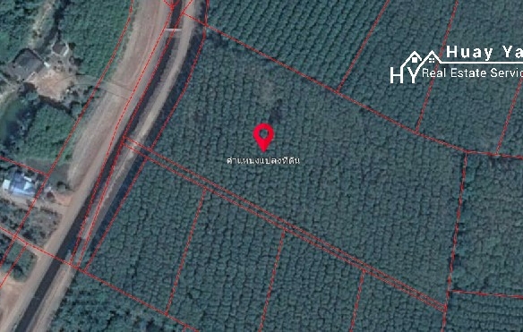 #1627     17rai Prime Durian Farm, Rayong Province