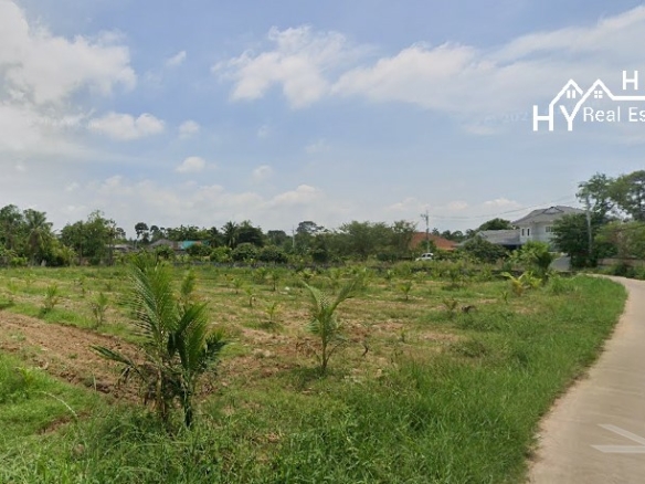 #1631 Good shaped Land Plot For Sale.