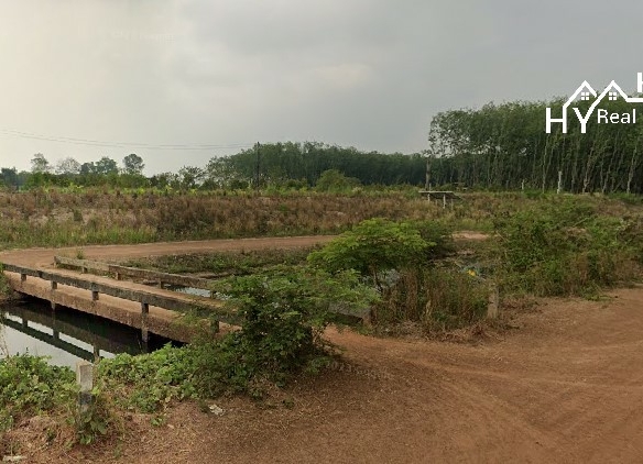 #1627     17rai Prime Durian Farm, Rayong Province