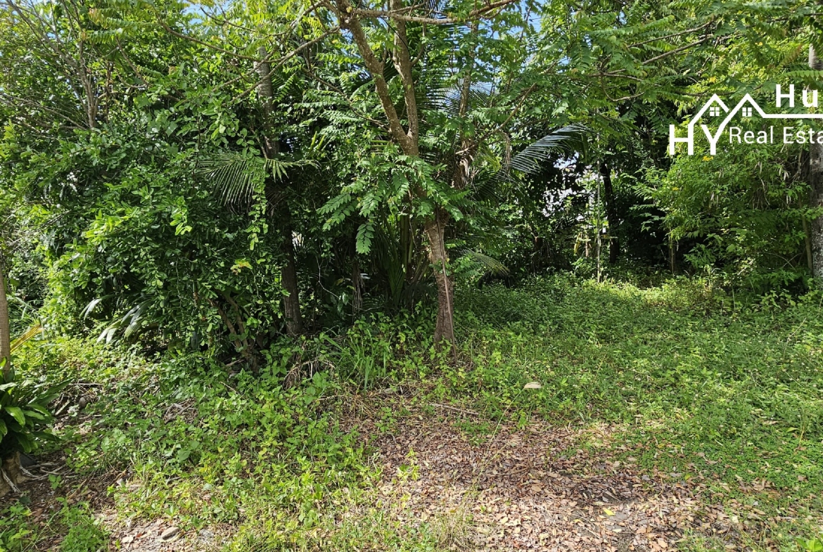 #3459 House for renovation / demolition in quiet residential area 