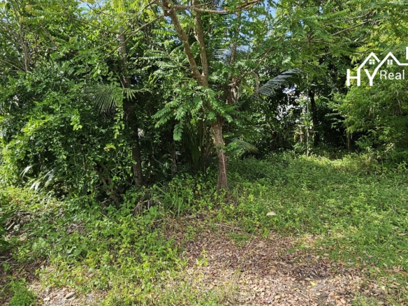 #3459 House for renovation / demolition in quiet residential area 