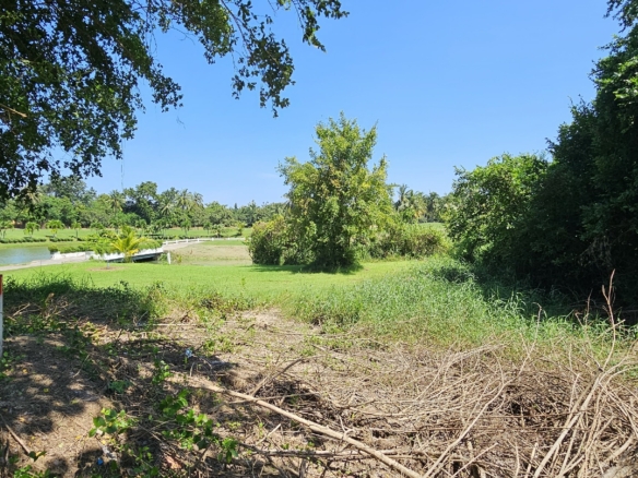 #1644 Building Plot in Eastern Star Golf Course