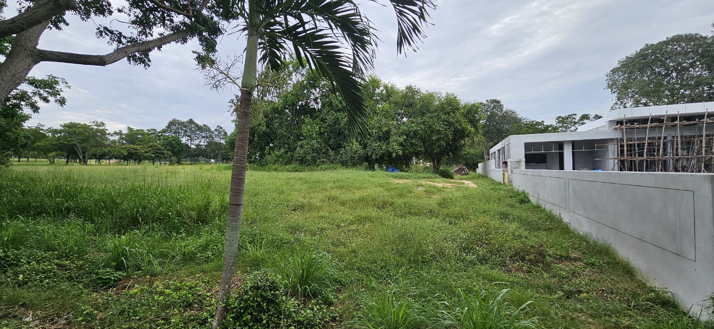 20241105_084318 #C26 Phoenix Golf Course. Land plot just over 1rai. SUPERB Value