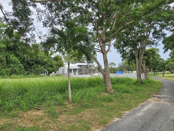 #C26 Phoenix Golf Course. Land plot just over 1rai. SUPERB Value