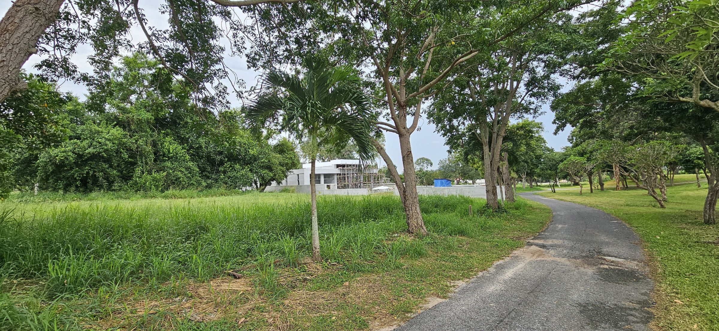 20241105_084354 #C26 Phoenix Golf Course. Land plot just over 1rai. SUPERB Value