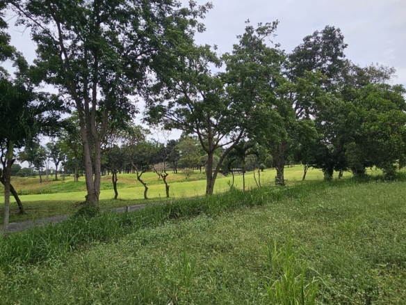 #C26 Phoenix Golf Course. Land plot just over 1rai. SUPERB Value