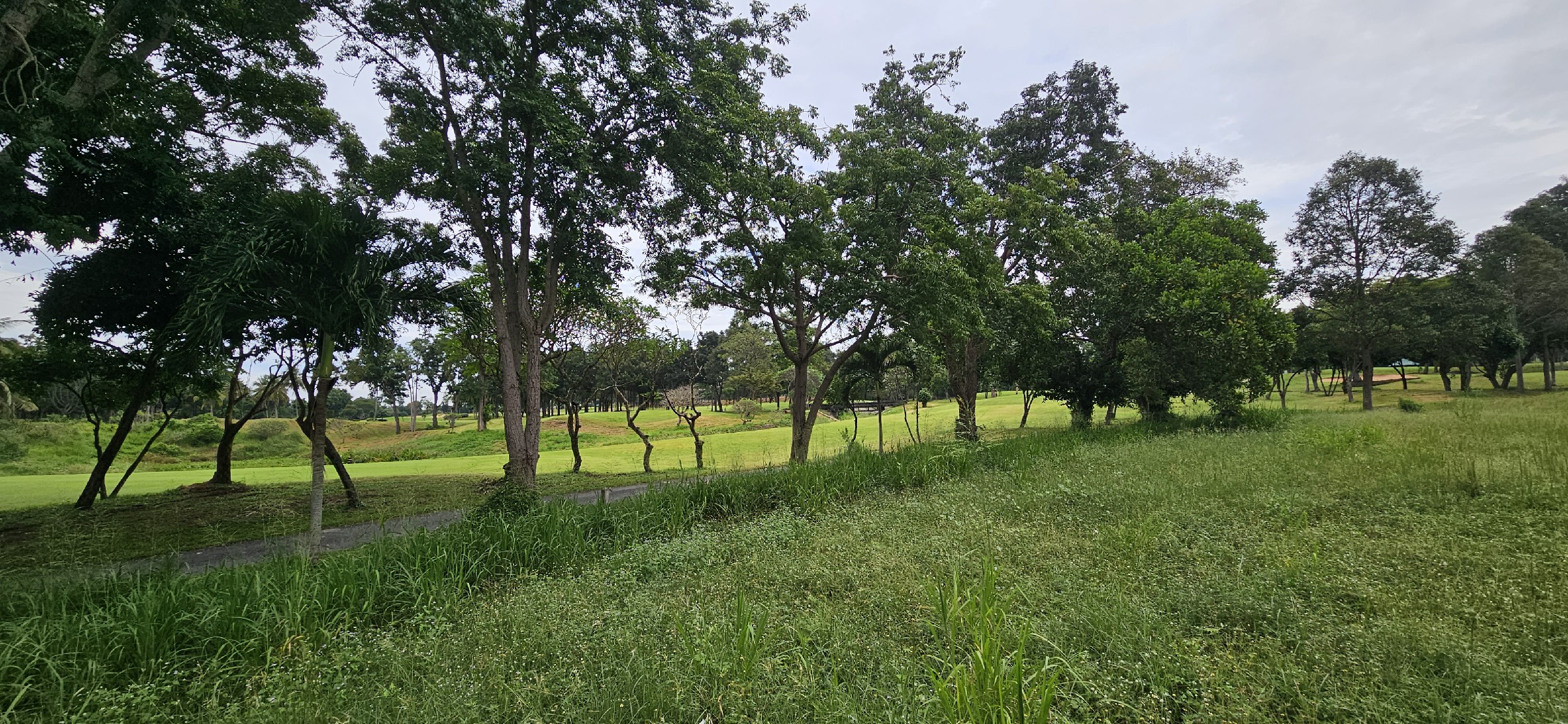 20241105_084437 #C26 Phoenix Golf Course. Land plot just over 1rai. SUPERB Value