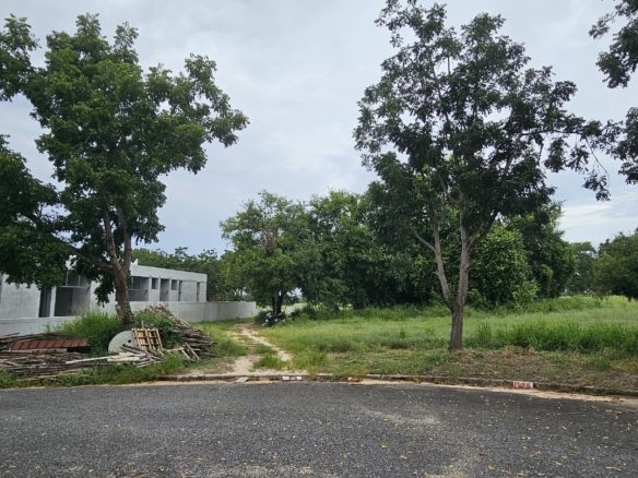 #C26 Phoenix Golf Course. Land plot just over 1rai. SUPERB Value