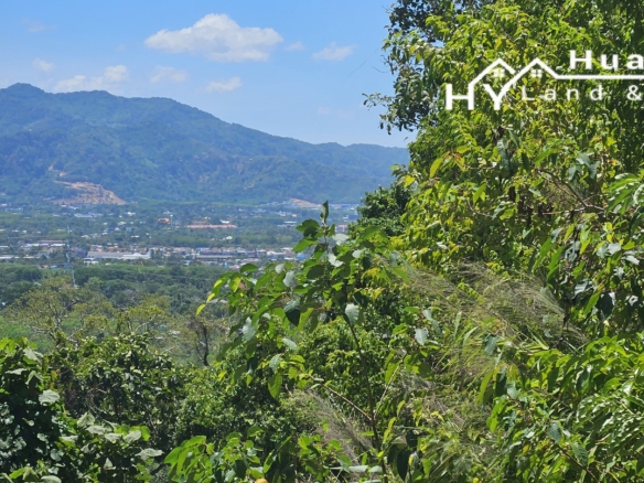 #1593 – Scenic Hillside Land – 12+ Rai (19,900m²)