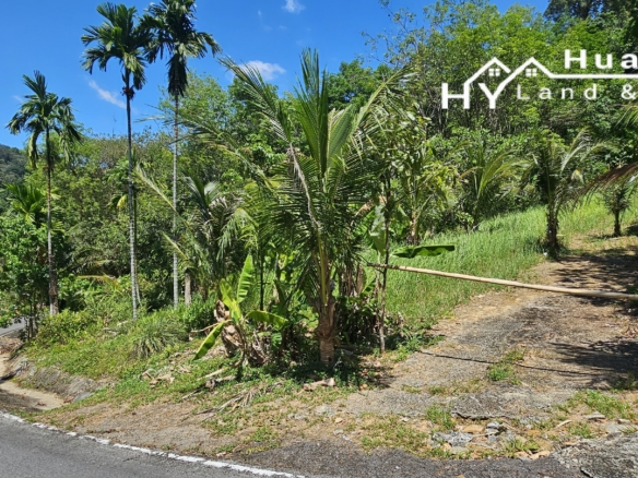 #1593 – Scenic Hillside Land – 12+ Rai (19,900m²)