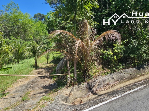 #1593 – Scenic Hillside Land – 12+ Rai (19,900m²)