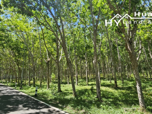 #1593 – Scenic Hillside Land – 12+ Rai (19,900m²)