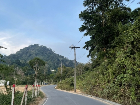 #1593 – Scenic Hillside Land – 12+ Rai (19,900m²)