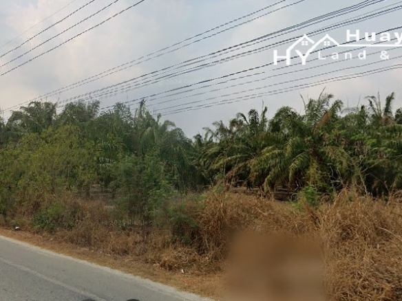 #1691 EXCELLENT VALUE Chon Buri 500rai Oil Palm Farm on Main Road
