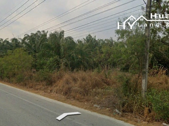 #1691 EXCELLENT VALUE Chon Buri 500rai Oil Palm Farm on Main Road