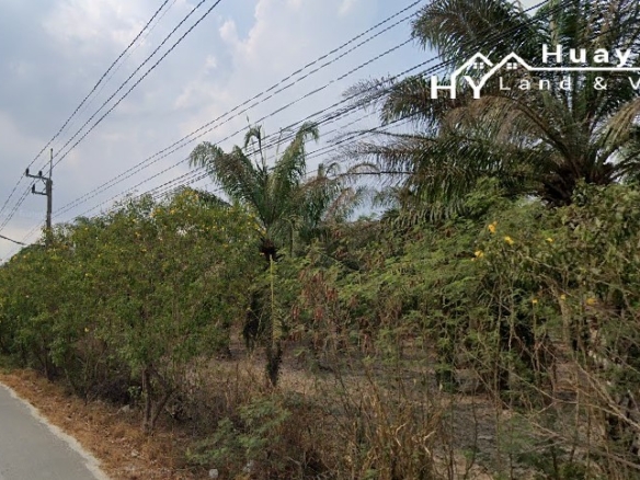 #1691 EXCELLENT VALUE Chon Buri 500rai Oil Palm Farm on Main Road