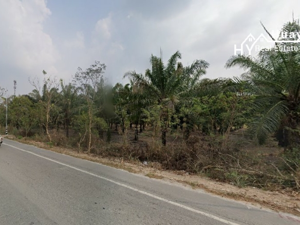 #1691 EXCELLENT VALUE Chon Buri 500rai Oil Palm Farm on Main Road