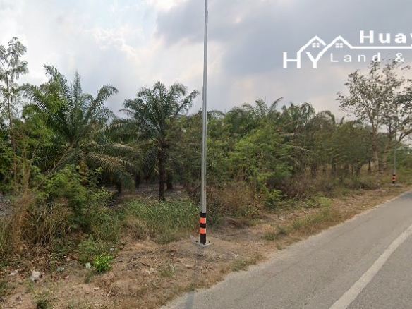 #1691 EXCELLENT VALUE Chon Buri 500rai Oil Palm Farm on Main Road