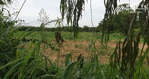 #1193  25+rai development site Soi Polo.  JV possible.