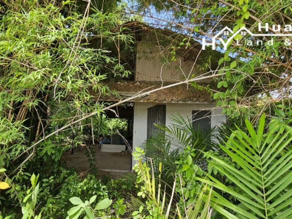 #1706        Beautiful 4rai with wide lake frontage, mature trees and some buildings