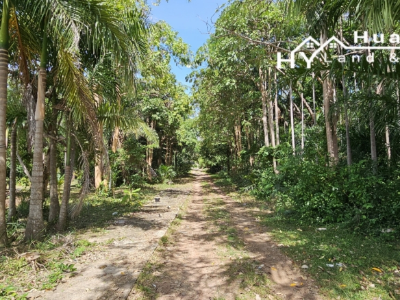 #1706        Beautiful 4rai with wide lake frontage, mature trees and some buildings