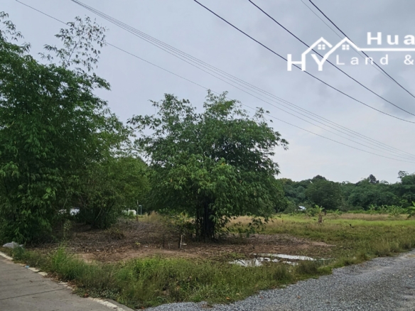 #1709  8rai in quiet residential area of Huay Yai