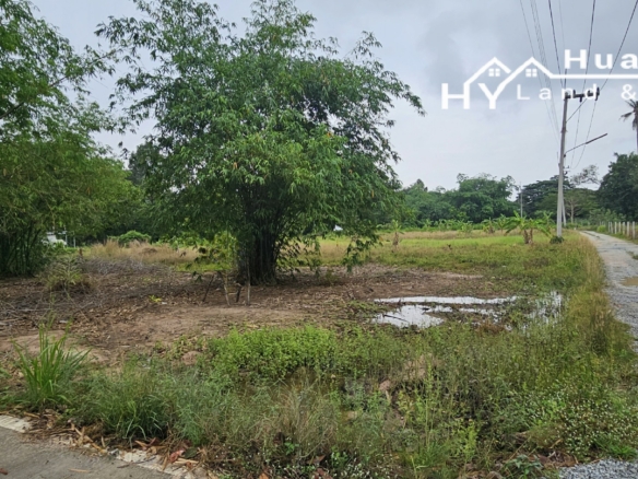 #1709  8rai in quiet residential area of Huay Yai