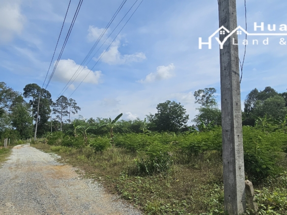 #1709  8rai in quiet residential area of Huay Yai