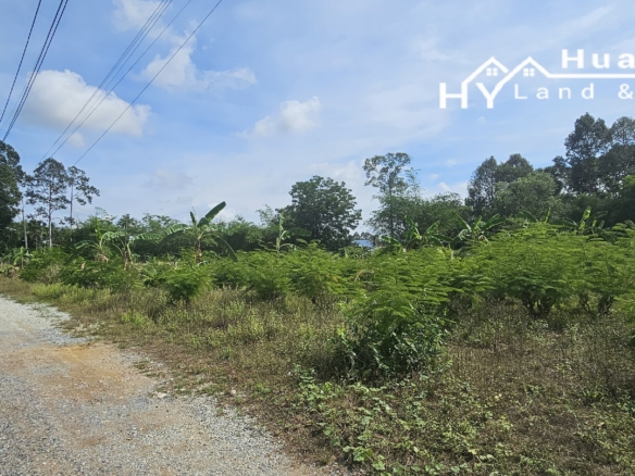 #1709  8rai in quiet residential area of Huay Yai