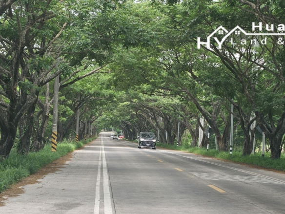 #1193  25+rai development site Soi Polo.  JV possible.