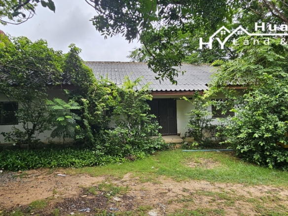 #1706        Beautiful 4rai with wide lake frontage, mature trees and some buildings