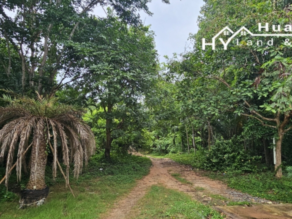#1706        Beautiful 4rai with wide lake frontage, mature trees and some buildings