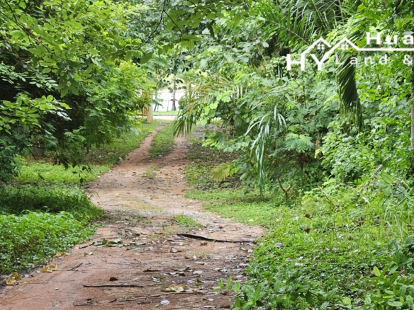 #1706        Beautiful 4rai with wide lake frontage, mature trees and some buildings