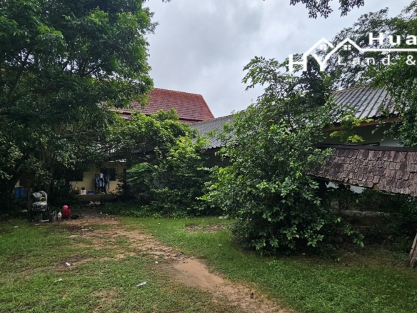 #1706        Beautiful 4rai with wide lake frontage, mature trees and some buildings