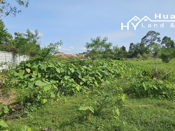#1710 5rai adjoining gated community in centre of Huay Yai