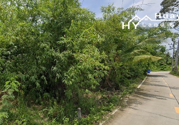 #1709  8rai in quiet residential area of Huay Yai