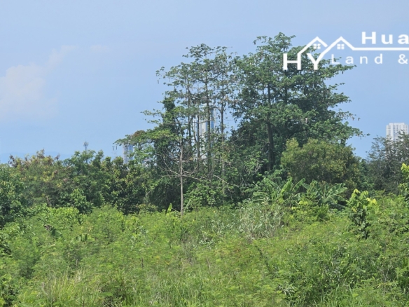 #1714    2x hillside plot with possible views in quiet no through soi