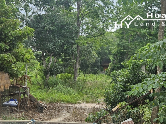 #1722 1rai backland plot just off Soi Polo, Huay Yai