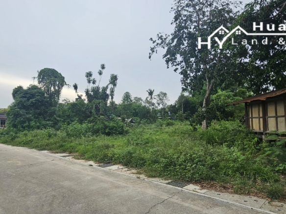 #1724  1+rai plot on raised, non flooding, ground
