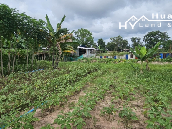 #1730        3+ rai with klong off main road.  Excellent Value