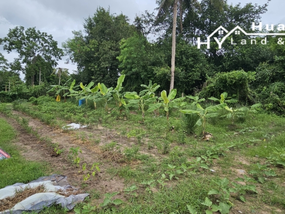 #1730        3+ rai with klong off main road.  Excellent Value