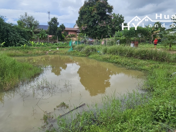 #1730        3+ rai with klong off main road.  Excellent Value