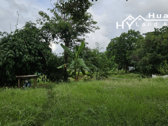 #1730        3+ rai with klong off main road.  Excellent Value