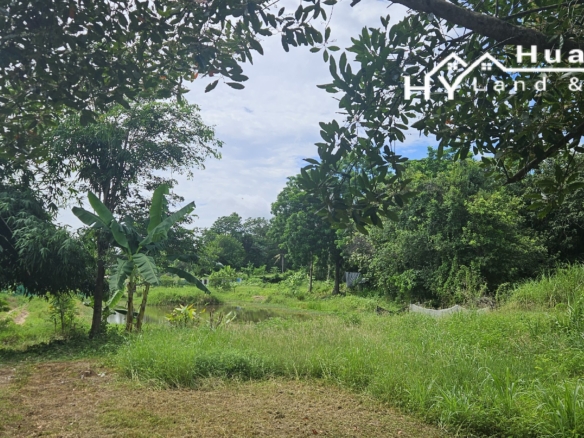 #3494        6+ rai large Thai House + 2nd house on main road.  Excellent Value