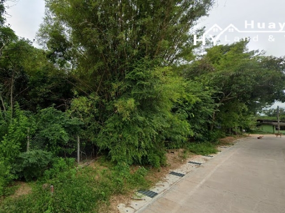 #1724  1+rai plot on raised, non flooding, ground