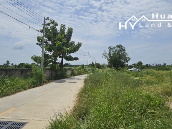 #1729       Quiet position 550m off Chak Nok Road near end of Soi Chaiyapruek2