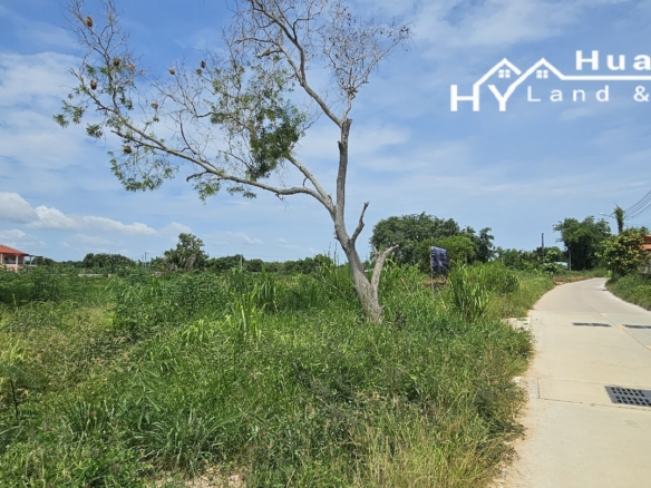 #1729       Quiet position 550m off Chak Nok Road near end of Soi Chaiyapruek2