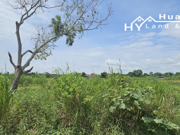 #1729       Quiet position 550m off Chak Nok Road near end of Soi Chaiyapruek2